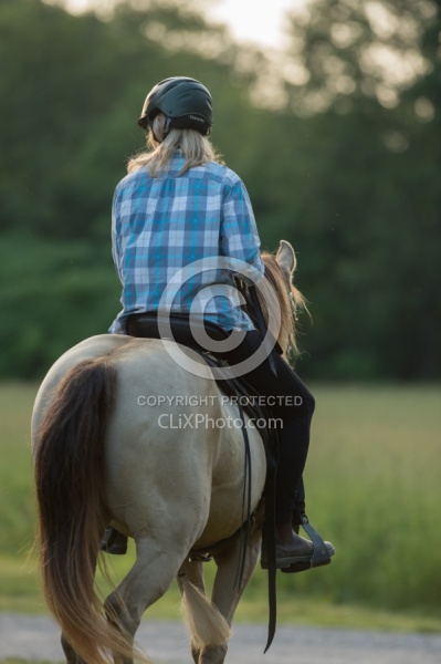 Tennessee Walker Under Saddle