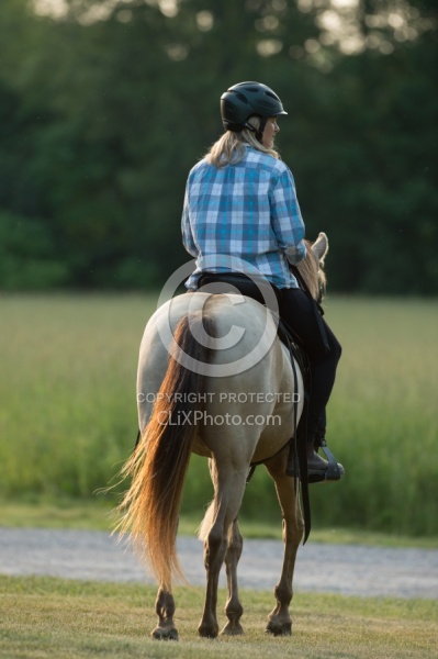 Tennessee Walker Under Saddle