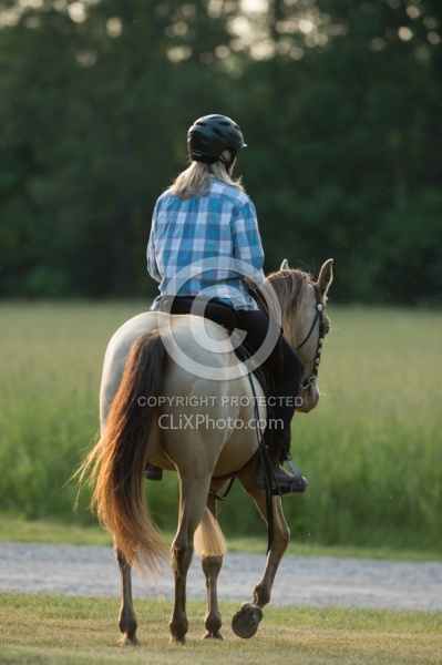 Tennessee Walker Under Saddle