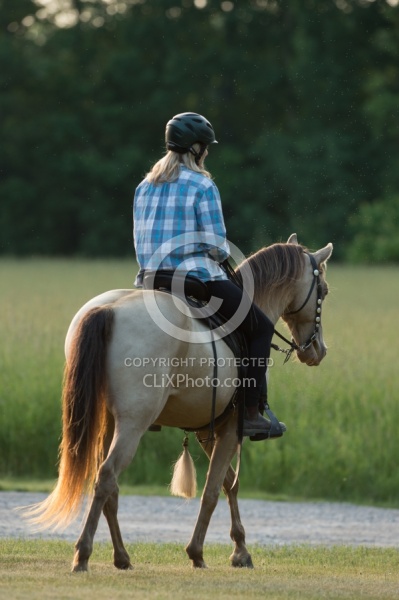 Tennessee Walker Under Saddle