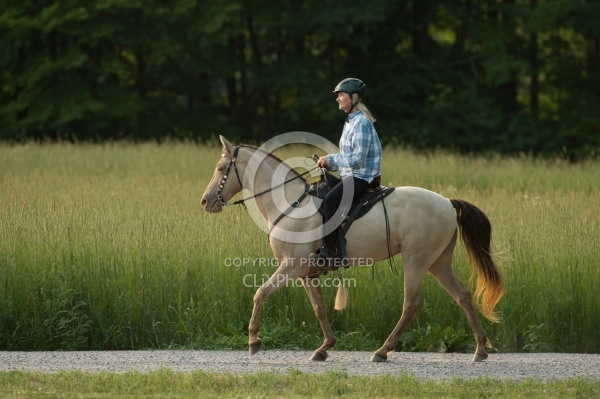 Tennessee Walker Under Saddle