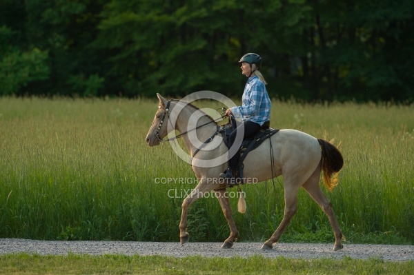 Tennessee Walker Under Saddle