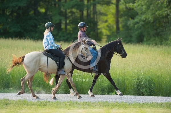 Tennessee Walker Under Saddle