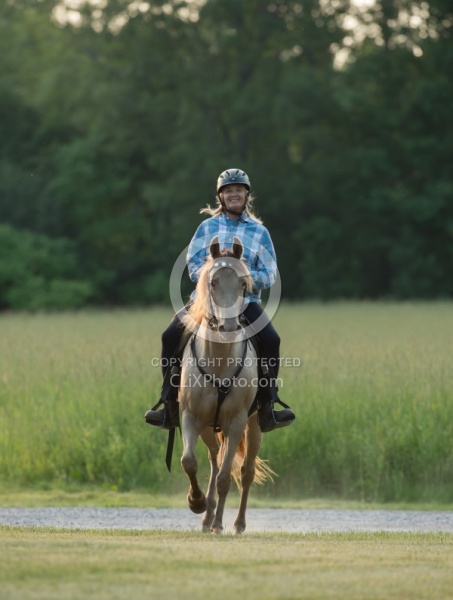 Tennessee Walker Under Saddle