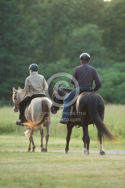 Tennessee Walker Under Saddle