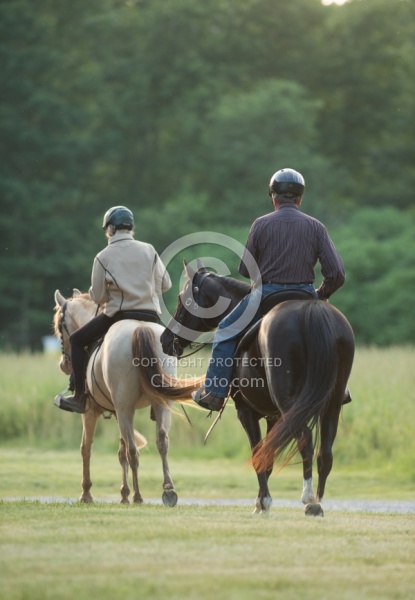 Tennessee Walker Under Saddle