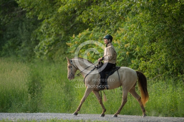 Tennessee Walker Under Saddle