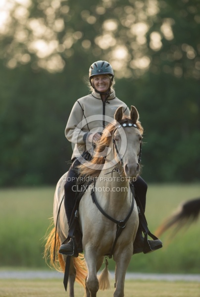 Tennessee Walker Under Saddle