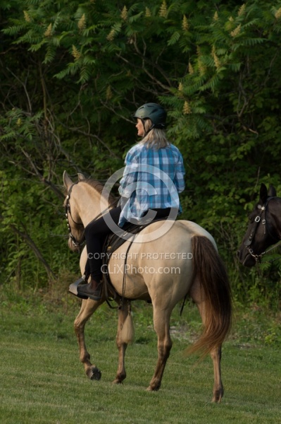 Tennessee Walker Under Saddle