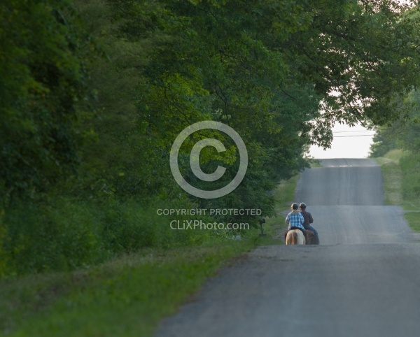 Tennessee Walker Under Saddle