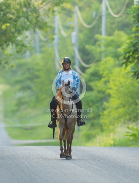 Tennessee Walker Under Saddle