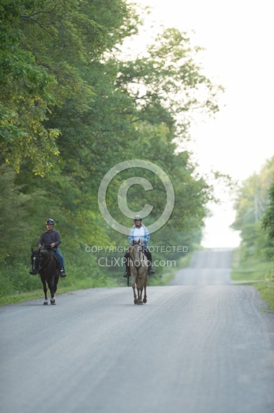 Tennessee Walker Under Saddle