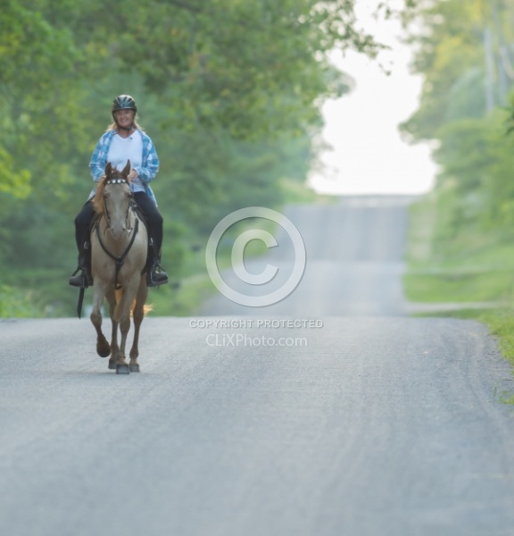 Tennessee Walker Under Saddle