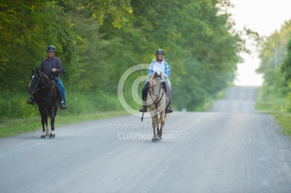 Tennessee Walker Under Saddle