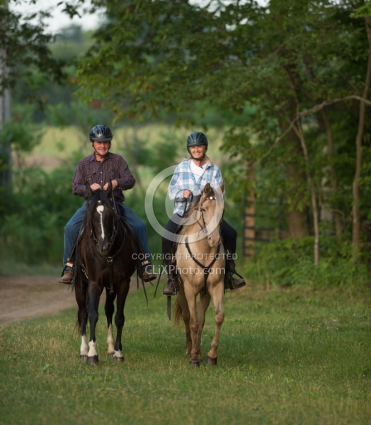Tennessee Walker Under Saddle
