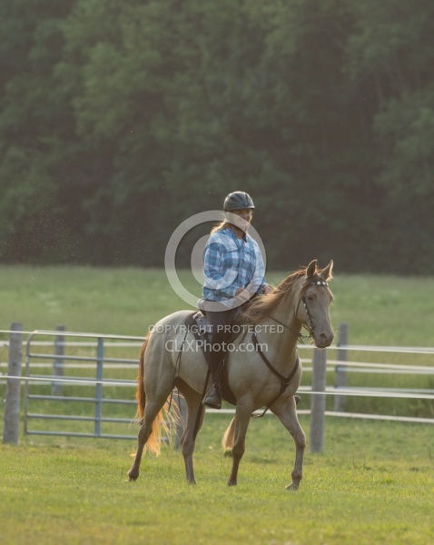 Tennessee Walker Under Saddle