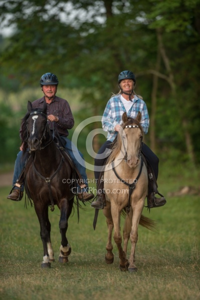 Tennessee Walker Under Saddle