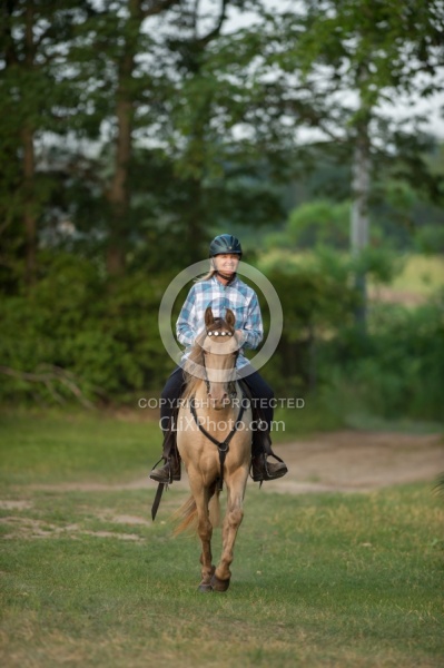 Tennessee Walker Under Saddle