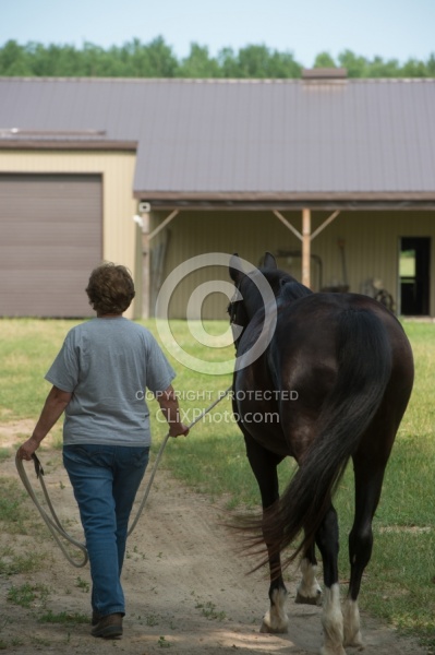 Home Horse Keeping
