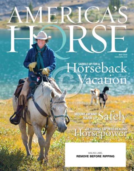 American Quarter Horse May 2019