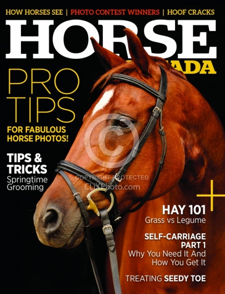 Horse Canada March April 2019