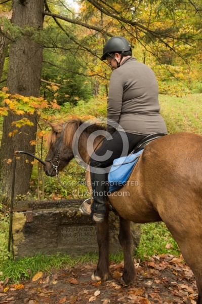 Fall colors  with The Vermont Icelandic Horse Farm