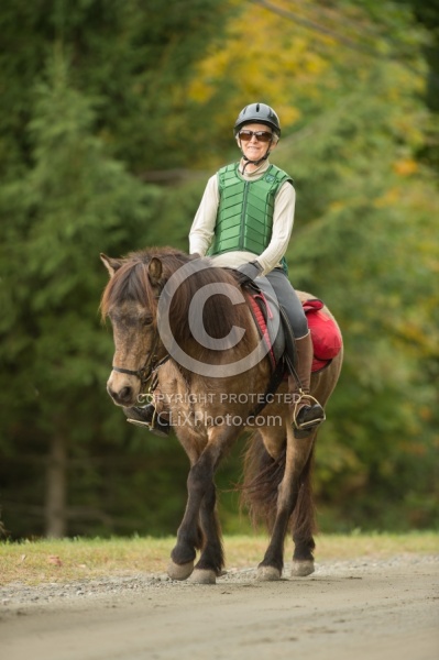 Fall colors  with The Vermont Icelandic Horse Farm