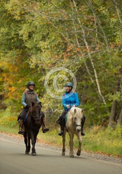 Fall colors  with The Vermont Icelandic Horse Farm