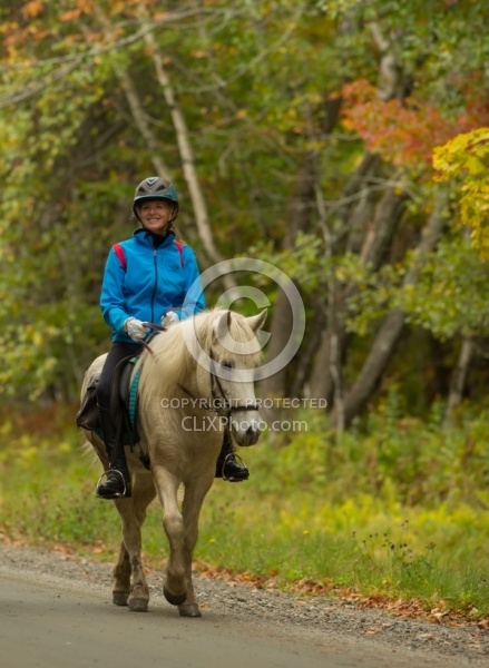 Fall colors  with The Vermont Icelandic Horse Farm