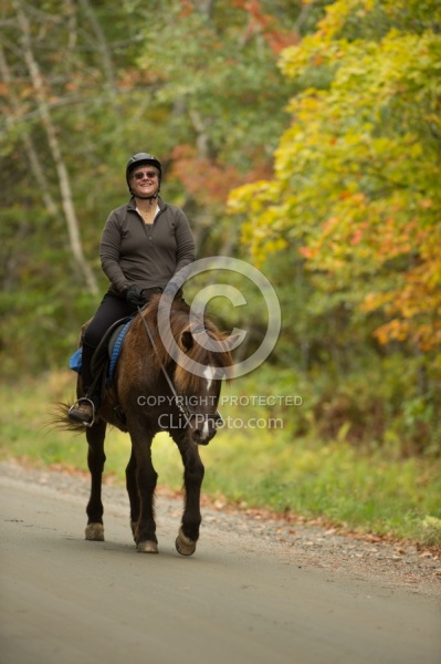Fall colors  with The Vermont Icelandic Horse Farm