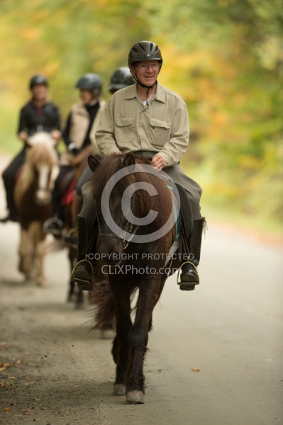 Fall colors  with The Vermont Icelandic Horse Farm
