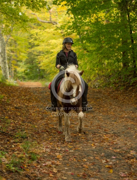 Fall colors  with The Vermont Icelandic Horse Farm