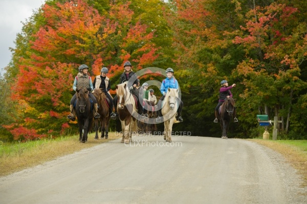 Vermont Icelandic Horse Farm