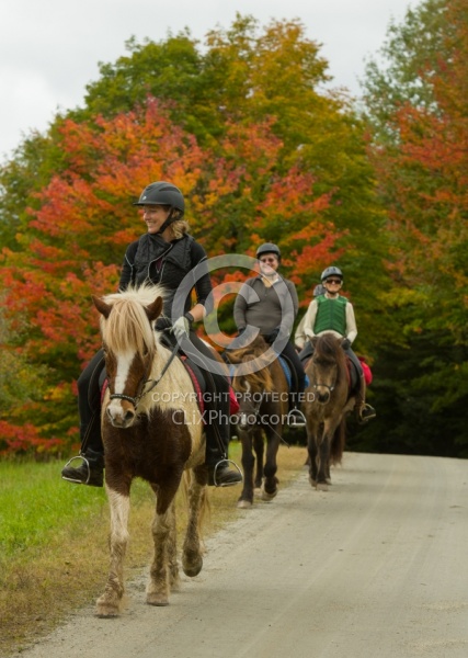 Vermont Icelandic Horse Farm