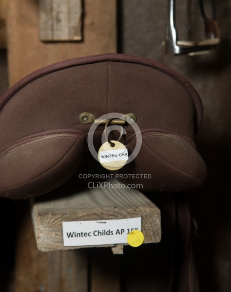 Fall Colors Ride at Mountain Top Resort, Vermont