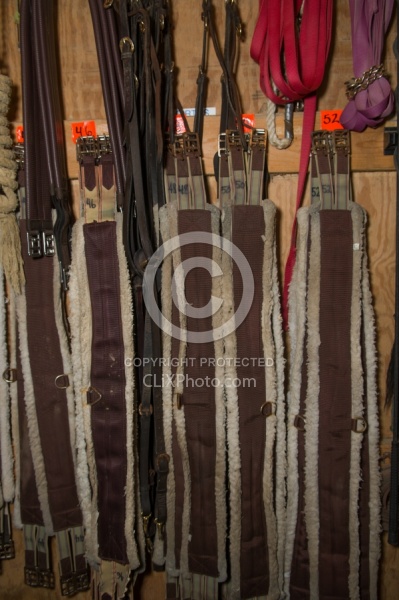 Fall Colors Ride at Mountain Top Resort, Vermont