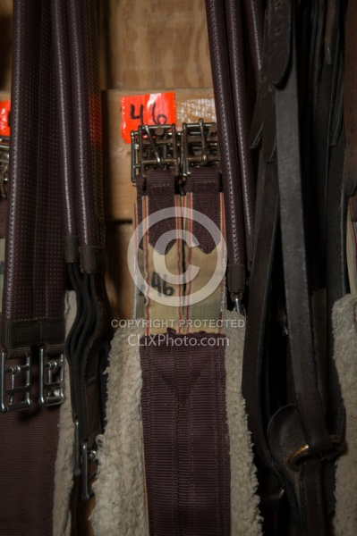 Fall Colors Ride at Mountain Top Resort, Vermont