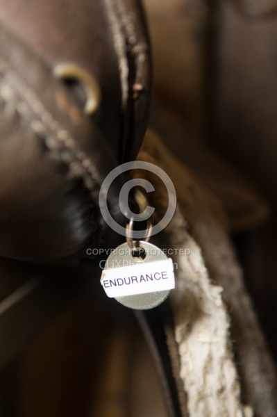 Fall Colors Ride at Mountain Top Resort, Vermont
