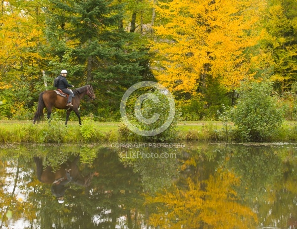 Fall Colors Ride at Mountain Top Resort, Vermont