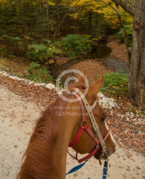 Fall Colors Ride at Mountain Top Resort, Vermont
