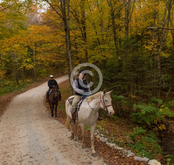 Fall Colors Ride at Mountain Top Resort, Vermont
