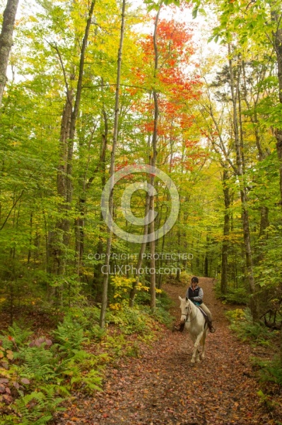 Fall Colors Ride at Mountain Top Resort, Vermont