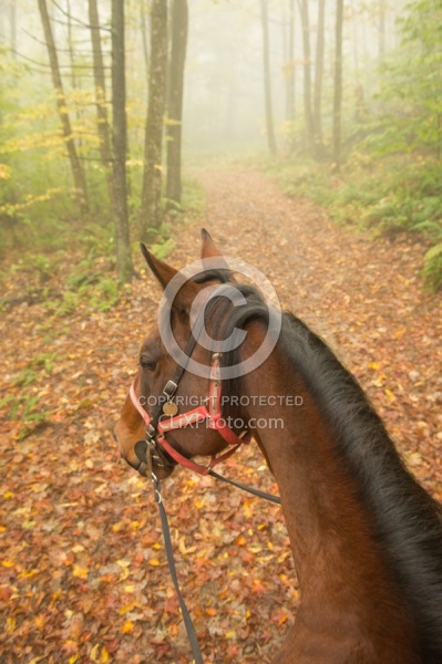 Fall Colors Ride at Mountain Top Resort, Vermont