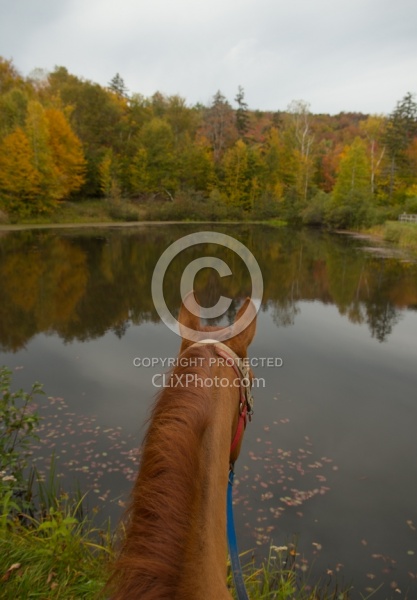 Fall Colors Ride at Mountain Top Resort, Vermont
