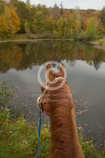 Fall Colors Ride at Mountain Top Resort, Vermont