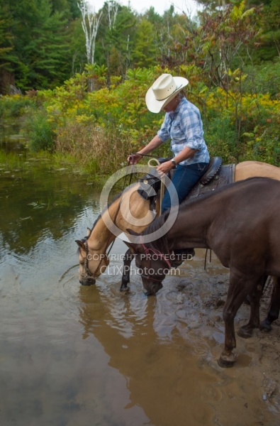 Ponying in the Ganaraska Forest Ponying a Horse to Water