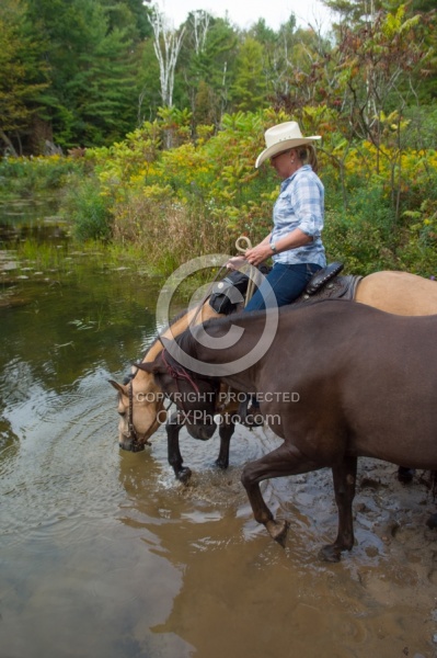 Ponying in the Ganaraska Forest Ponying a Horse to Water