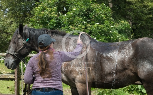 Hunter Valley Station, New Zealand
