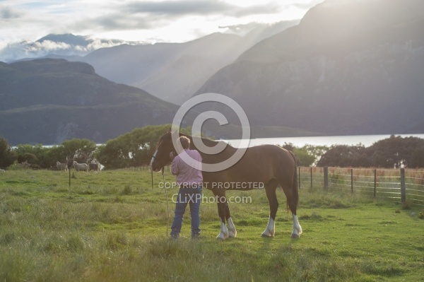 Hunter Valley Station, New Zealand