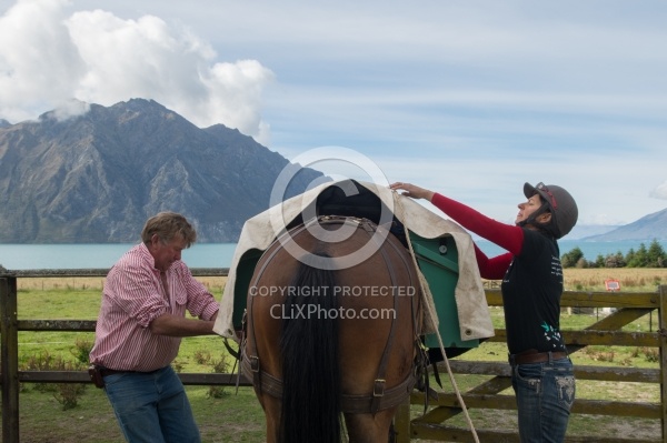 Getting the Pack Horses Ready for The Ride to Boundary Hut From Hunter Valley Station